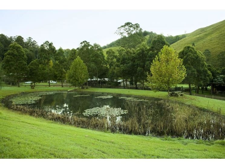 384 Jems Creek Road, The Tops Organic Retreat Gloucester NSW 2422 - Image 2