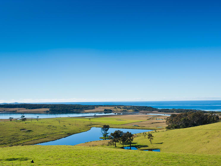 Central Tilba NSW 2546 - Image 2