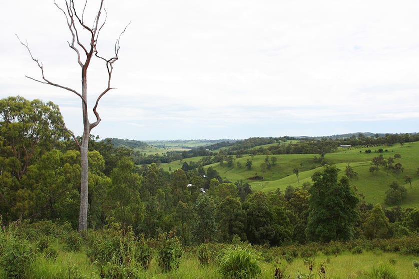 336 Afterlee Road Kyogle NSW 2474 - Image 3