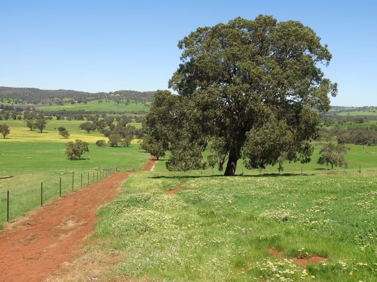 Rural & Farming Property Sold in The Breakaway, Great Northern Highway ...