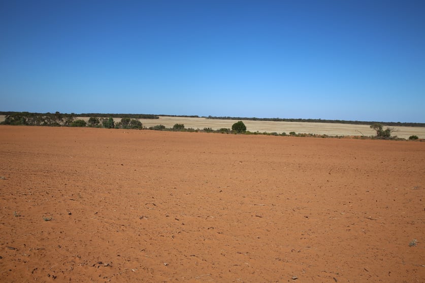 Rural / Farming commercial property for sale at Monak NSW 2738