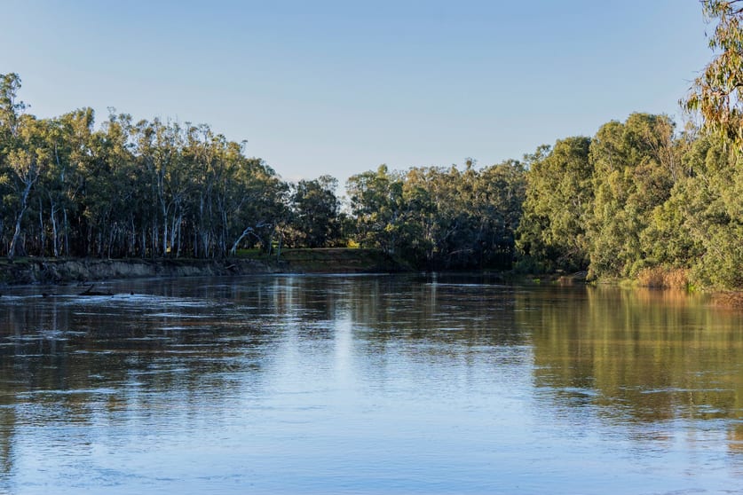 Rural / Farming commercial property for sale at 10474 Sturt Highway Narrandera NSW 2700 Rural / Farming commercial property for sale at 10474 Sturt Highway Narrandera NSW 2700