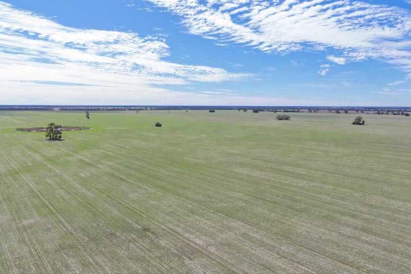 Rural / Farming commercial property for sale at 26446 Newell Highway Moree NSW 2400 Rural / Farming commercial property for sale at 26446 Newell Highway Moree NSW 2400