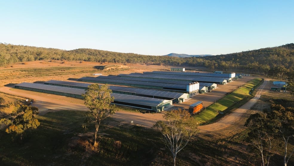 Rural / Farming commercial property for sale at 3497 Leyburn Cunningham Road Pratten QLD 4370 Rural / Farming commercial property for sale at 3497 Leyburn Cunningham Road Pratten QLD 4370