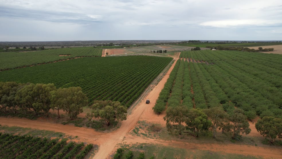 Rural / Farming commercial property for sale at New Residence SA 5333 Rural / Farming commercial property for sale at New Residence SA 5333