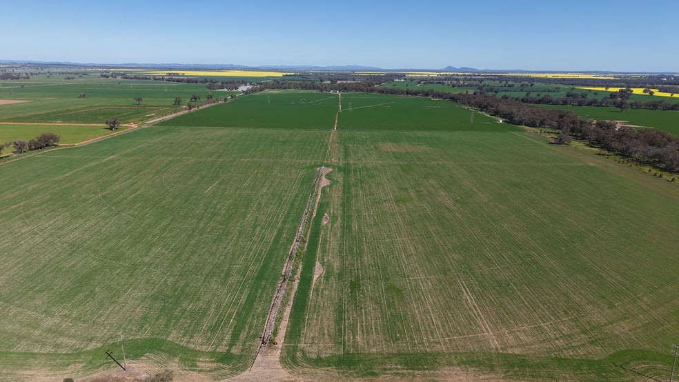 Rural / Farming commercial property for sale at Tiagarra, 339 New Grenfell Road Forbes NSW 2871