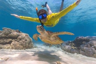 Ocean Safari, Safari Lodge & Turtle Rock Café  The Gold Standard of Eco-Tourism