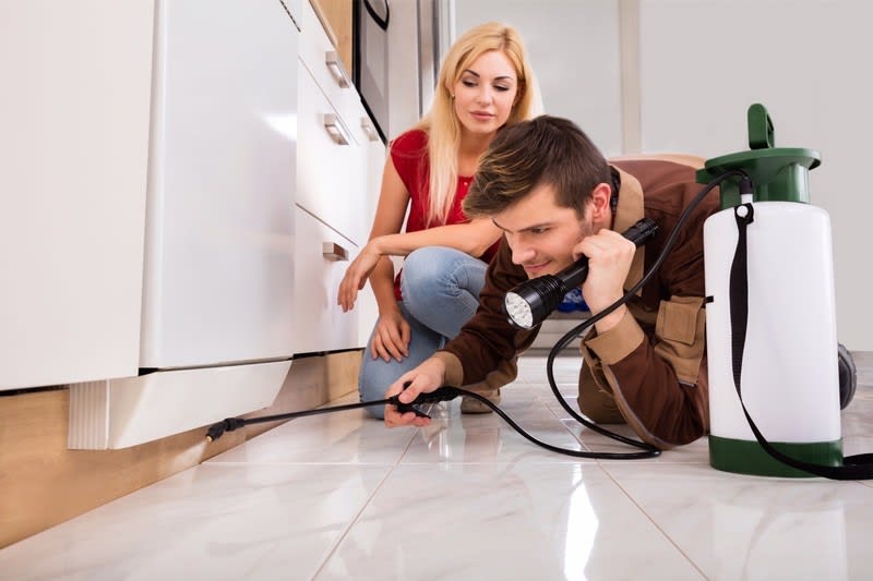 Pest control business for sale Reduced down to $65,000 WIWO Pest control business for sale Reduced down to $65,000 WIWO