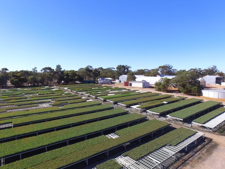 Exceptional Production Tree Seedling Nursery - 21 Hectare Property with 2 Houses Exceptional Production Tree Seedling Nursery - 21 Hectare Property with 2 Houses