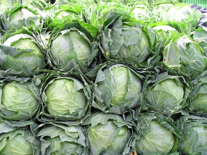 Established Food Manufacturing