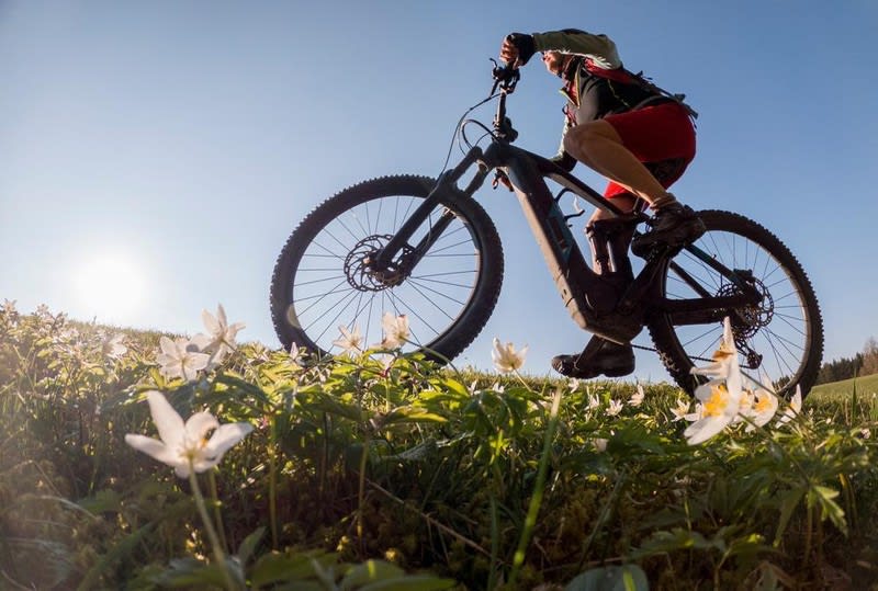 23201 Successful & Longstanding Electric Bicycle Retailer - Lucrative Market