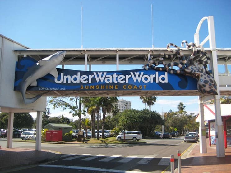 Pump & Irrigation Solutions  Sales, Installs & Repairs