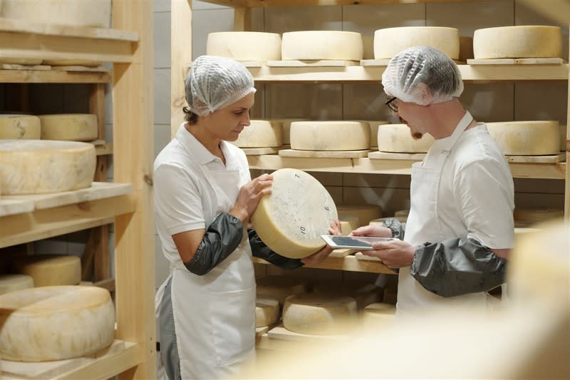 Cheese Producer & Modern Regional Cafe Cheese Producer & Modern Regional Cafe