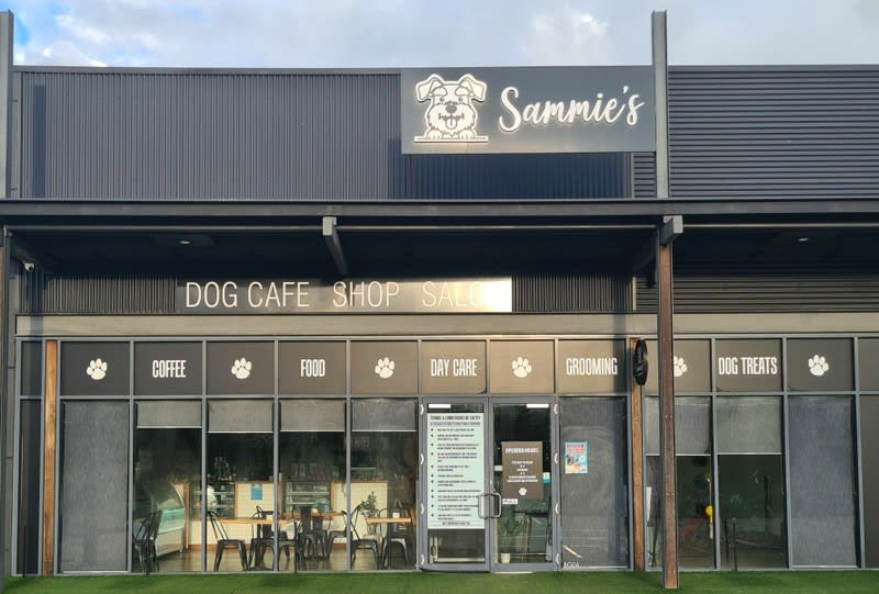 Dog Cafe and Spa - Moonee Beach, NSW Dog Cafe and Spa - Moonee Beach, NSW