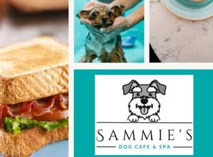 Dog Cafe and Spa - Moonee Beach, NSW Dog Cafe and Spa - Moonee Beach, NSW