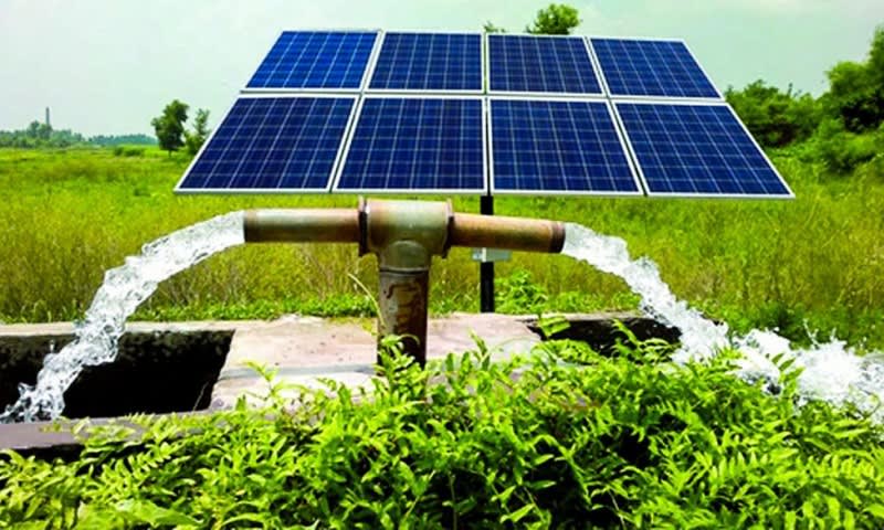 Thriving Essential Water & Irrigation Services Business in Queensland Thriving Essential Water & Irrigation Services Business in Queensland