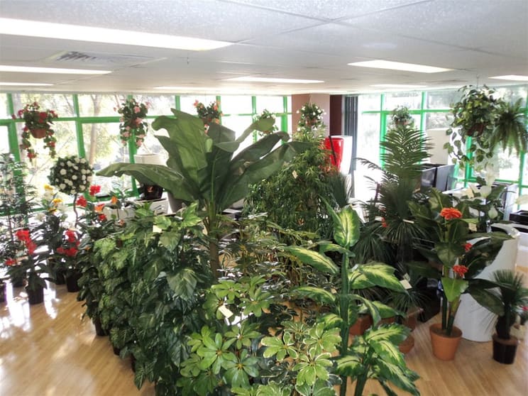 Import/wholesale Of Fibreglass Planters