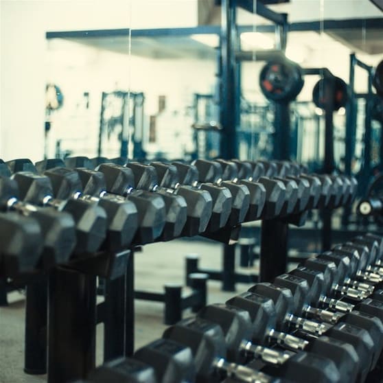 Gym Group - Multiple Locations - Profitable Gym Group - Multiple Locations - Profitable