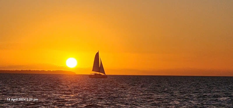 Circa 17% ROI, Office-free-Profitable Coastal Management Rights