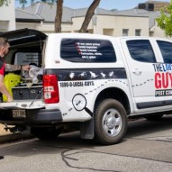 Pest Control is Very High Profit Margins + Low Costs = Great Profits! Pest Control is Very High Profit Margins + Low Costs = Great Profits!