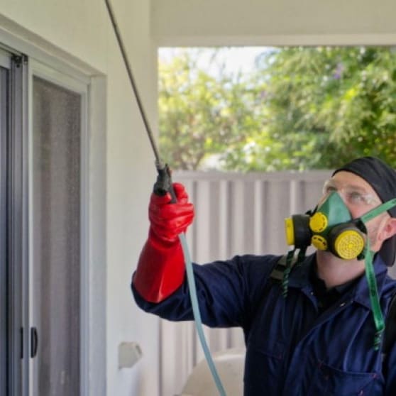 Pest Control is Very High Profit Margins + Low Costs = Great Profits!