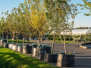 Profitable Regional Nursery | Semi-Passive Operation | Central Victoria Profitable Regional Nursery | Semi-Passive Operation | Central Victoria