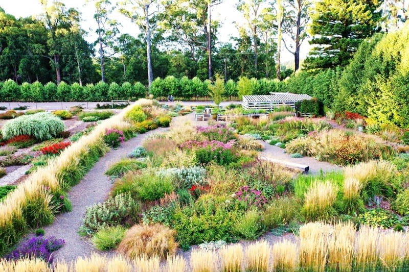 Wholesale & Retail Nursery | Established Perennials Nursery Opportunity | VIC