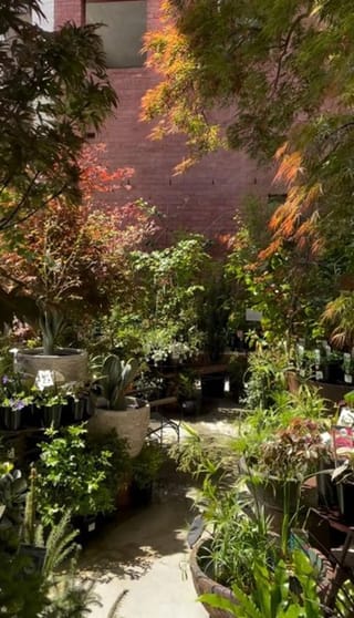 Fitzroy Nursery  Iconic CBD Nursery