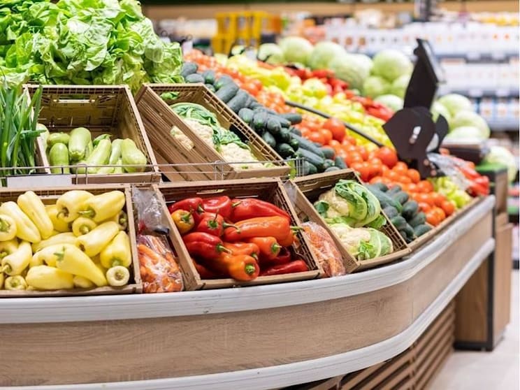 Established Grocery Store | 482 Visa Prime Established Grocery Store | 482 Visa Prime