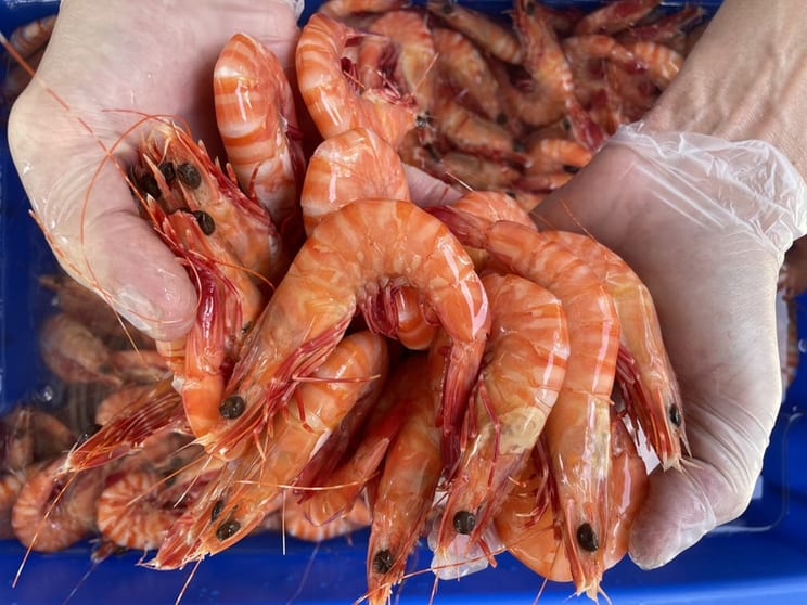 Established Mobile Seafood Retail Business  Three Turnkey Outlets Included