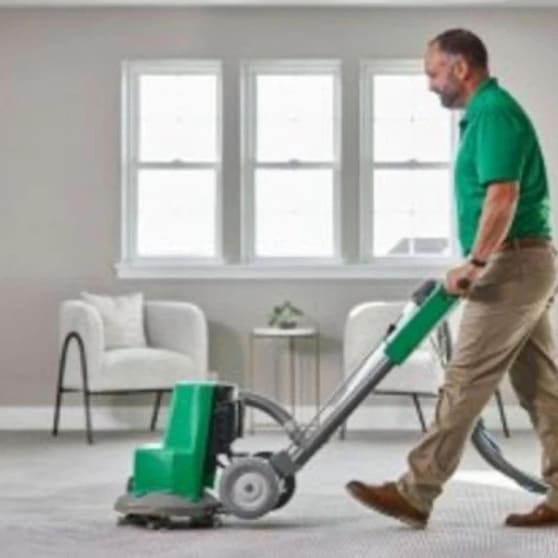 Highly Profitable Chem-Dry Carpet & Upholstery Cleaning Business