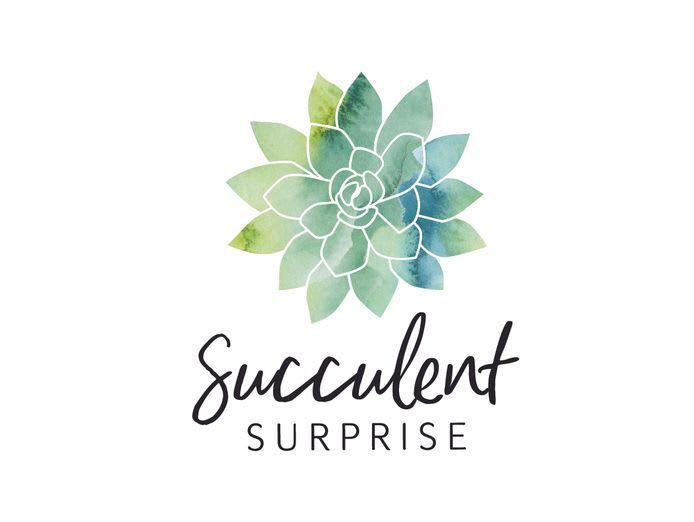 Succulent Surprise - Established Online Plant Store and Gifting Brand - National Opportunity Succulent Surprise - Established Online Plant Store and Gifting Brand - National Opportunity