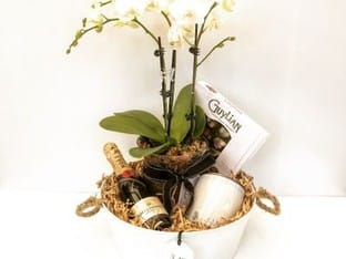 Succulent Surprise - Established Online Plant Store and Gifting Brand - National Opportunity Succulent Surprise - Established Online Plant Store and Gifting Brand - National Opportunity