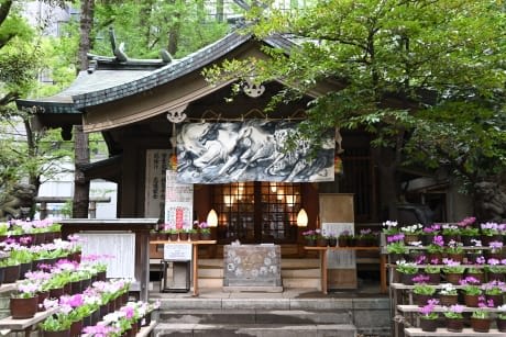 Inari Kiou Shrine