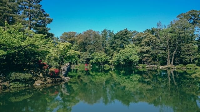 030920252031_image12.jpg