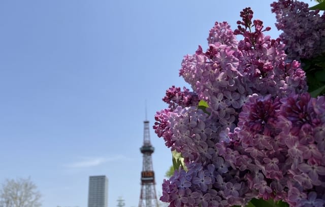 130720251629_image10.jpg