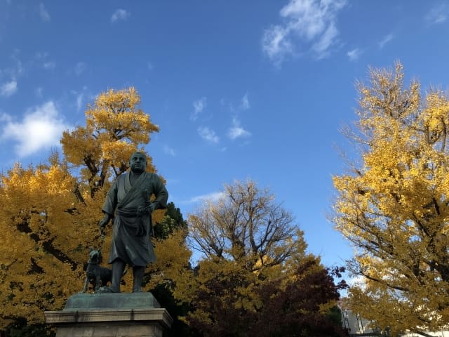 Autumn in Ueno Park & Fall Foliage Spots 2025: Ueno's 10 Best Places