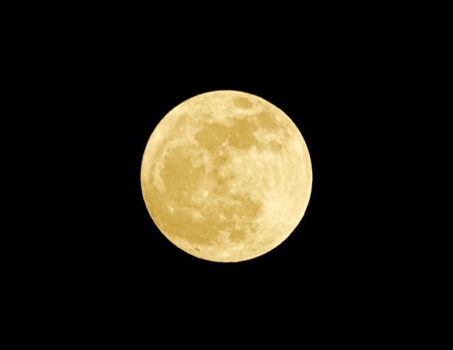 2644801_s.jpg