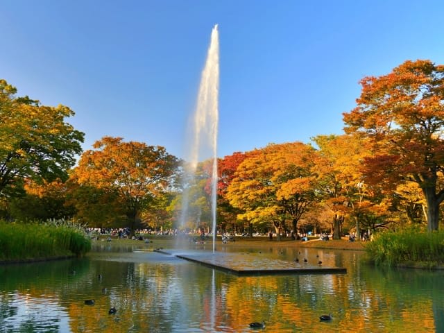 Yoyogi Park