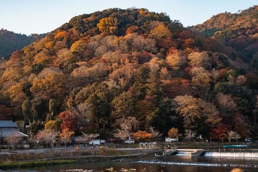 Arashiyama in Autumn