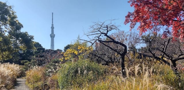 Mukojima-Hyakkaen Gardens