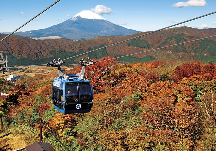 Autumn Foliage Season Highlights