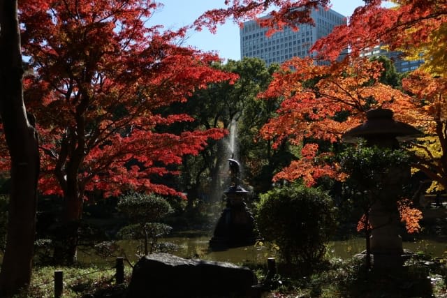 Autumn Leaves at Hibiya Park