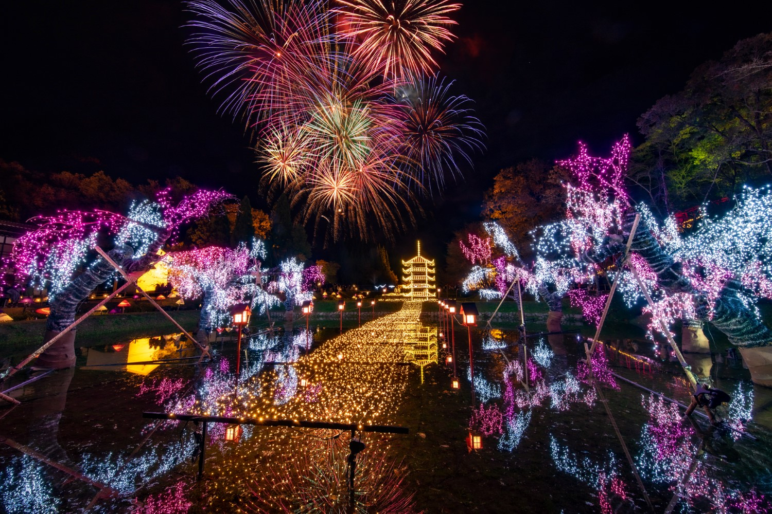Bihoku Hillside Park Winter Illumination