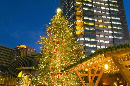 Christmas Tree in Tokyo