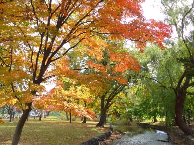 Climate and Recommended Clothing for Autumn Sapporo