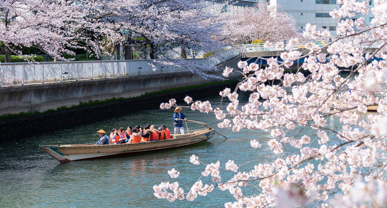 Edo Fukagawa Cherry Blossom Festival