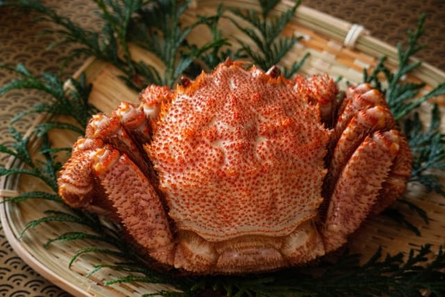 Exquisite Foods Reaching Peak Season in Winter
