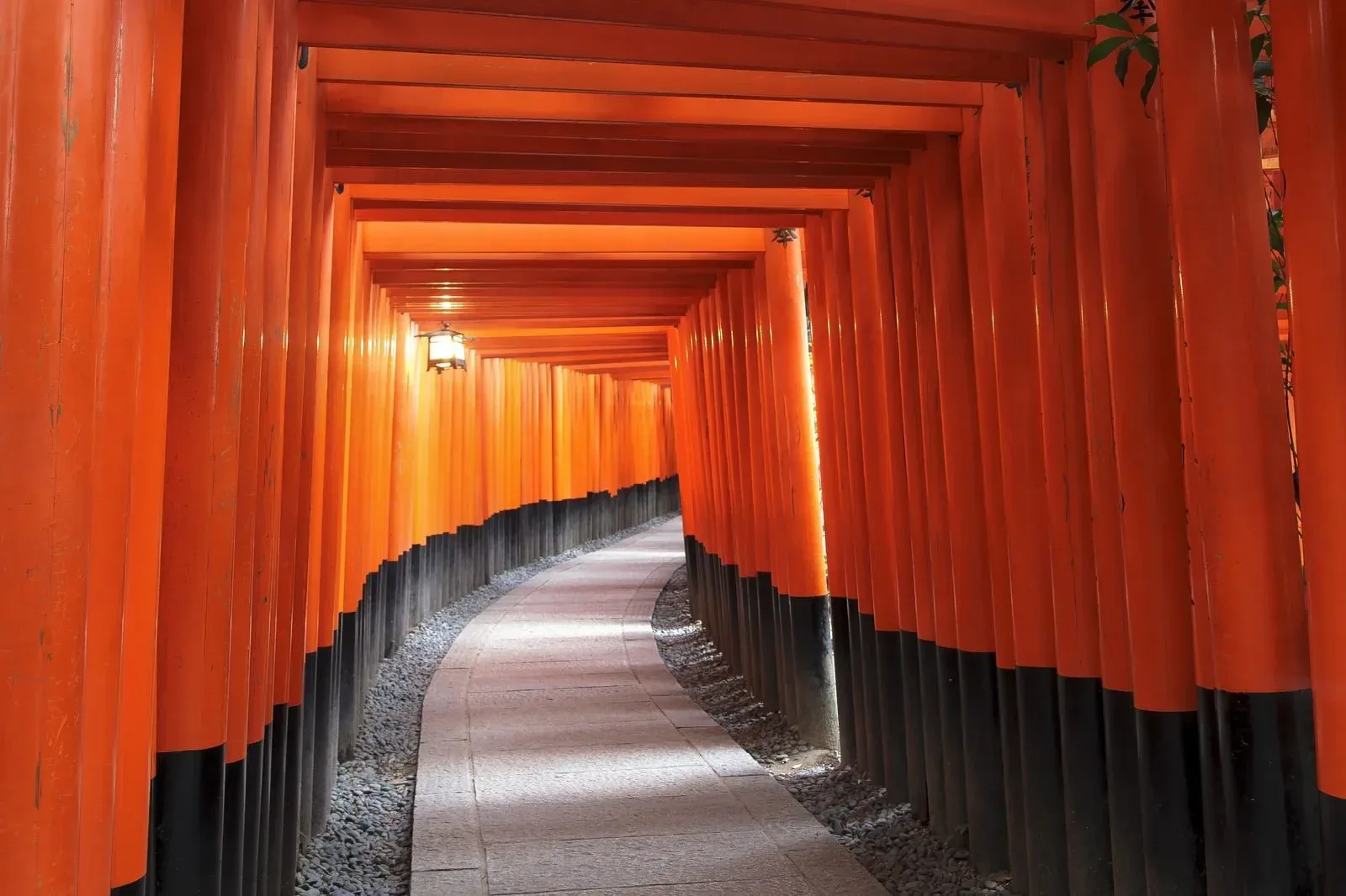 Fushimi Inari