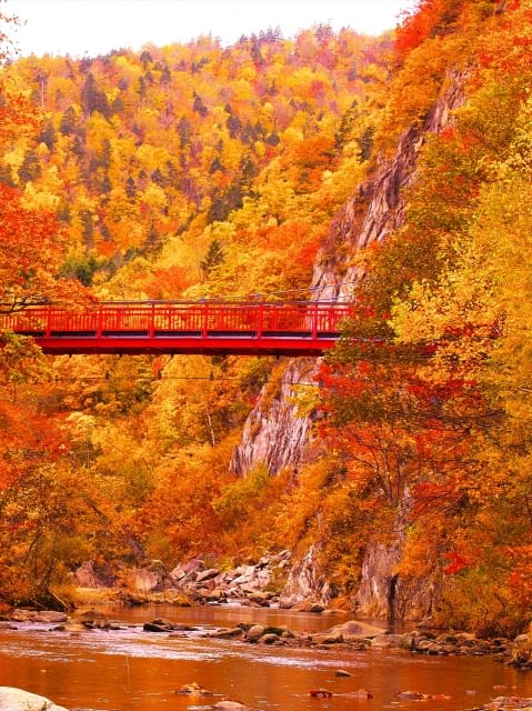 Futami Suspension Bridge is Particularly Famous for Autumn Foliage